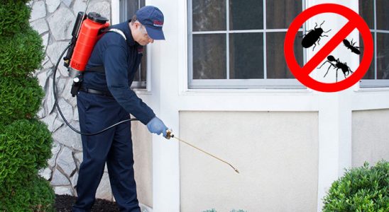 Savaştepe Akrep İlaçlama böcek ilaçlama ve haşere kontrolü — ilaclama-tr.com
